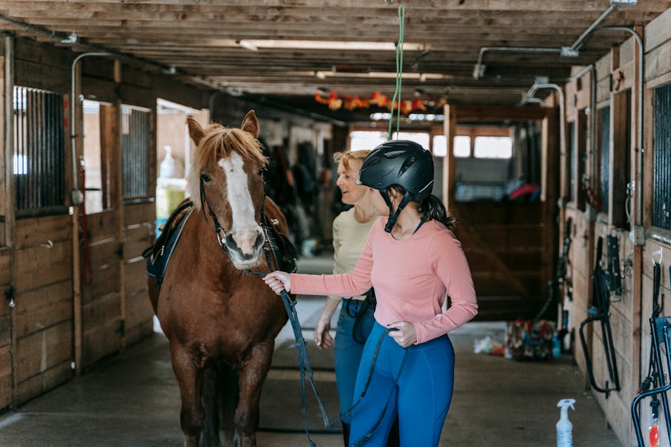 Führstrick Pferd 🐴: Alles über Sicherheit, Pflege und Anwendung